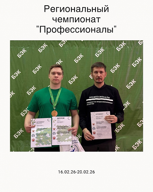 Региональный этап чемпионата «Профессионалы»